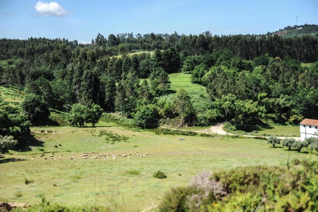 Vumba Agroturismo Arganil Exteriör bild