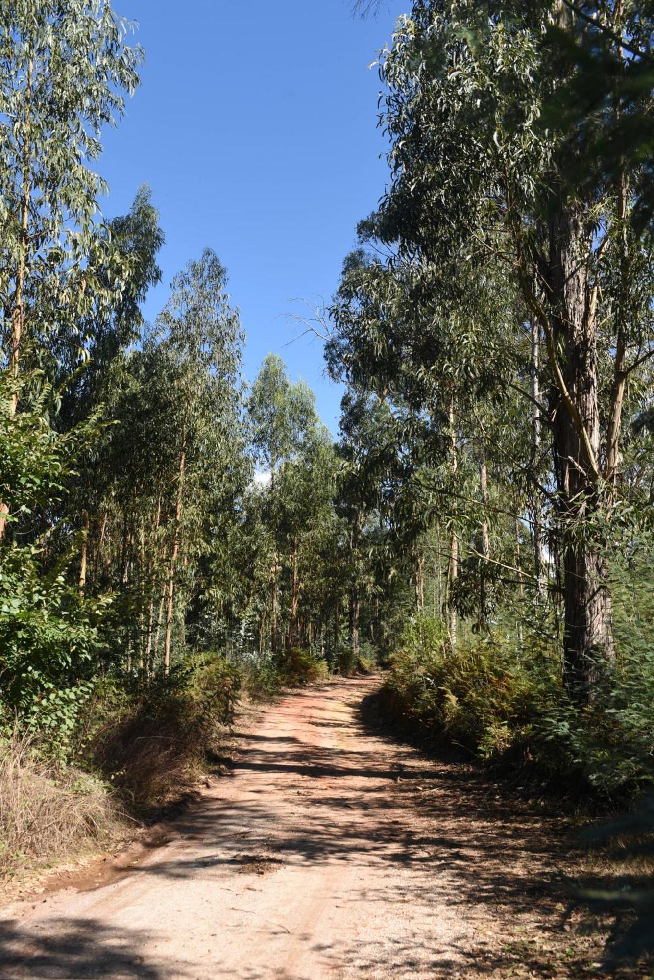 Vumba Agroturismo Arganil Exteriör bild